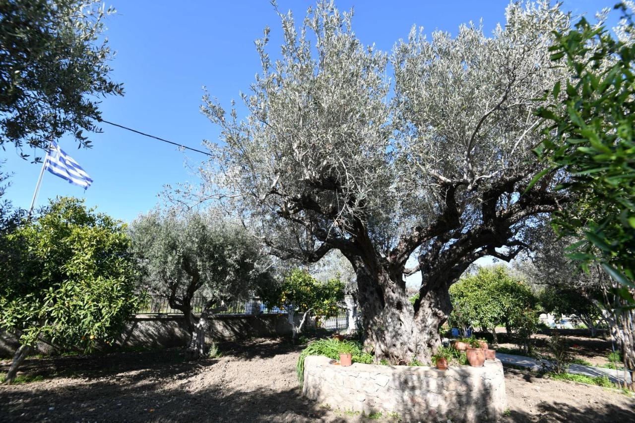 Villa Kavalino โคลิมเบีย ภายนอก รูปภาพ