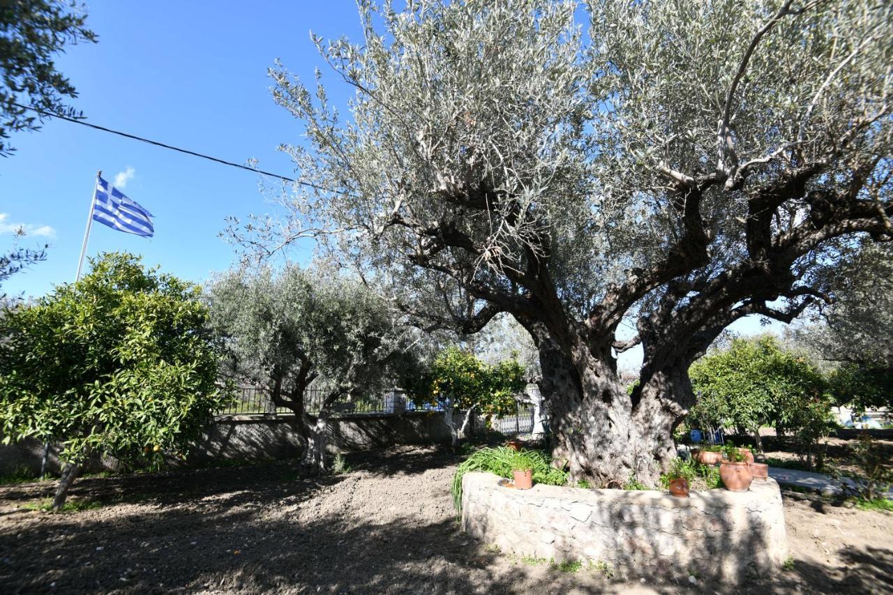 Villa Kavalino โคลิมเบีย ภายนอก รูปภาพ